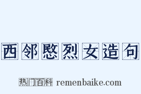 西邻愍烈女造句是什么意思的图片